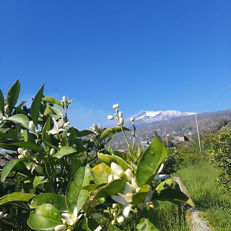 Zagara Villa Mascali Bagian luar foto